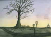 Ruth Wallace tree