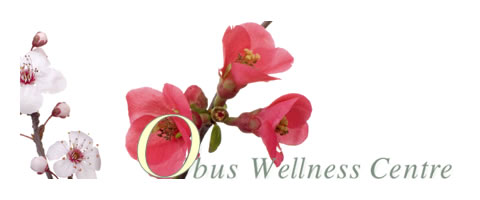 Obus Wellness logo